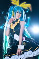 Coser����ɶ� NO.040 ����Miku [19P-286MB
